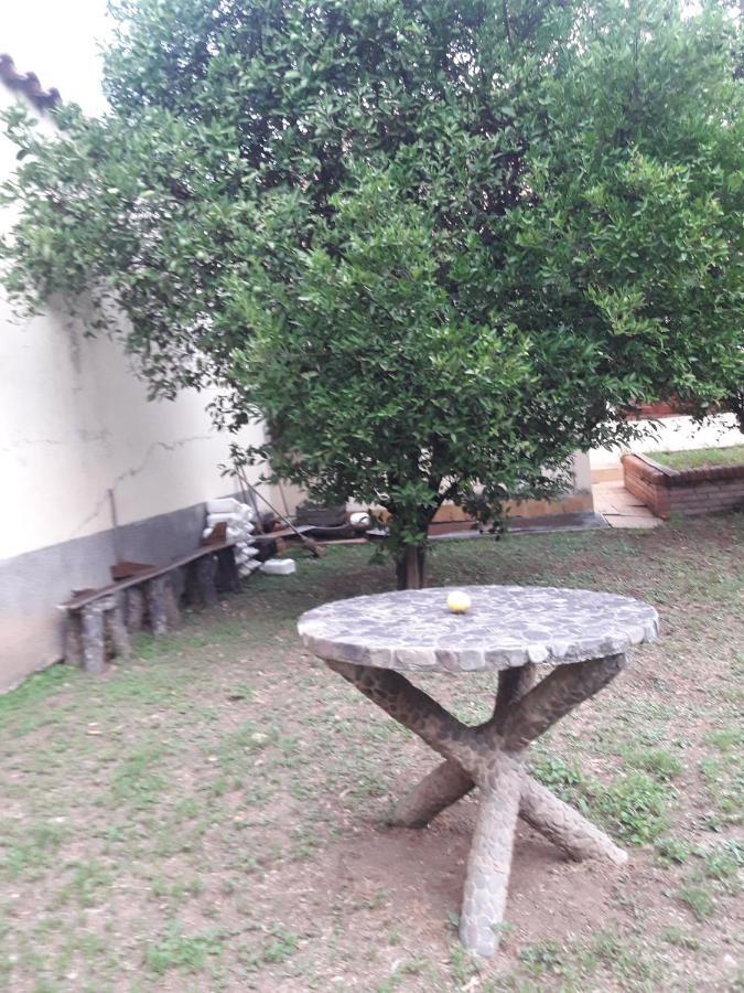 La Casa De Gaby Apartment Salta Bagian luar foto